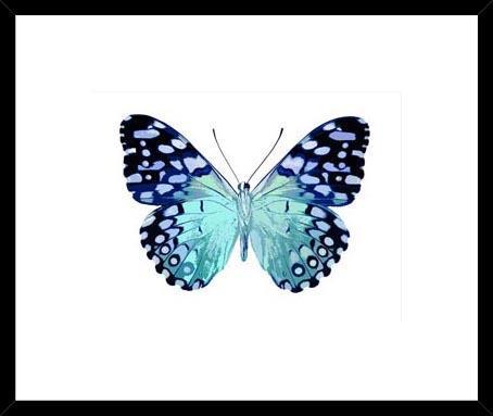 Biella Art framed prints melbourne