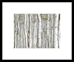 Biella Art framed prints melbourne