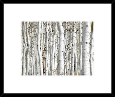 Biella Art framed prints melbourne