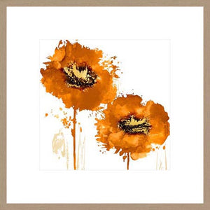 Biella Art framed prints melbourne
