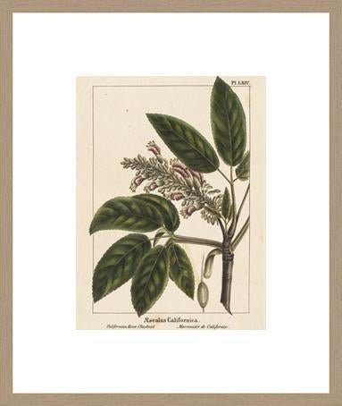 Biella Art framed prints melbourne