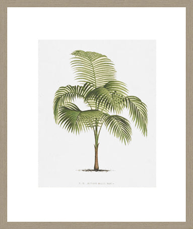 Biella Art framed prints melbourne
