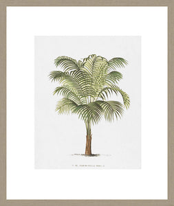 Biella Art framed prints melbourne