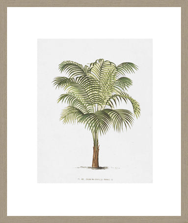 Biella Art framed prints melbourne