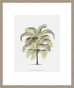 Biella Art framed prints melbourne