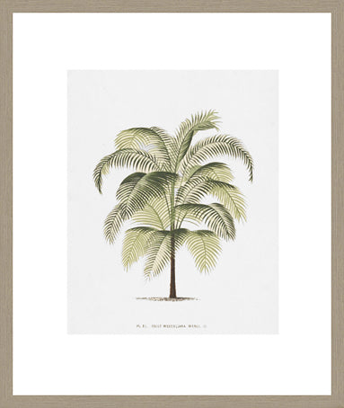 Biella Art framed prints melbourne