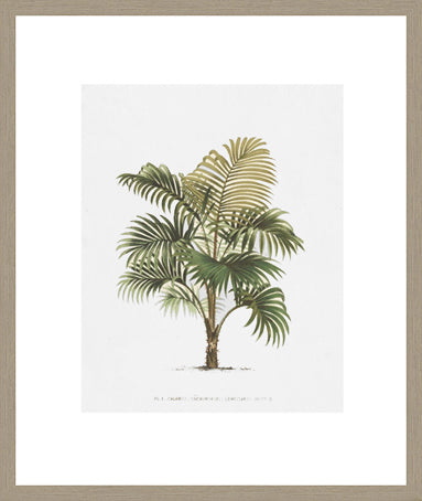 Biella Art framed prints melbourne