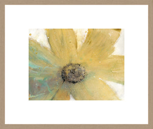 Biella Art framed prints melbourne