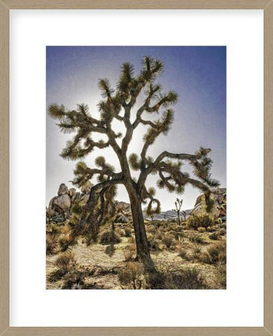 Biella Art framed prints melbourne
