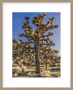 Biella Art framed prints melbourne