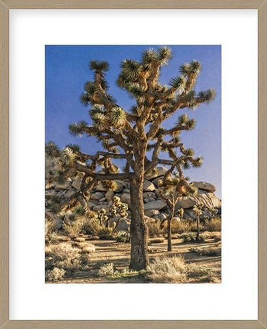 Biella Art framed prints melbourne