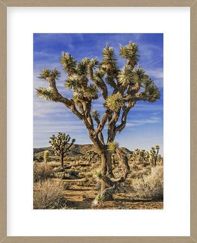 Biella Art framed prints melbourne