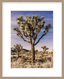 Biella Art framed prints melbourne
