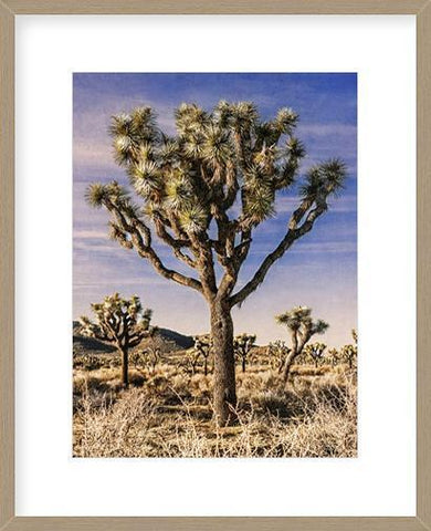 Biella Art framed prints melbourne
