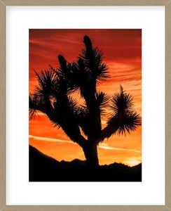 Biella Art framed prints melbourne