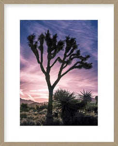 Biella Art framed prints melbourne