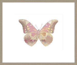 Biella Art framed prints melbourne