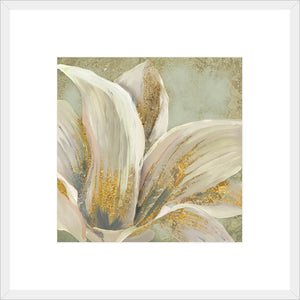 Biella Art framed prints melbourne