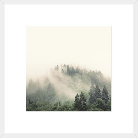 Smoky Mountains