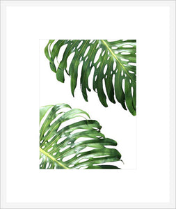 Biella Art framed prints melbourne