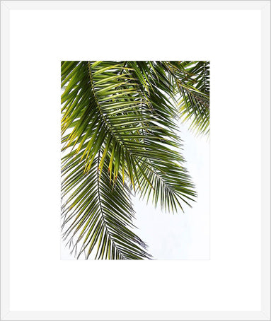 Biella Art framed prints melbourne