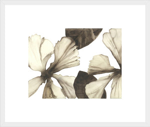 Biella Art framed prints melbourne
