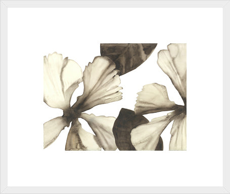 Biella Art framed prints melbourne