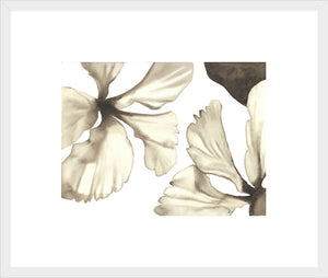 Biella Art framed prints melbourne