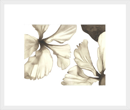 Biella Art framed prints melbourne