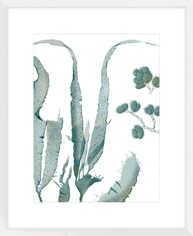 Seaside Seaweed III