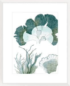 Seaside Seaweed II