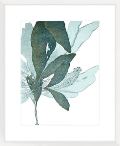 Seaside Seaweed I