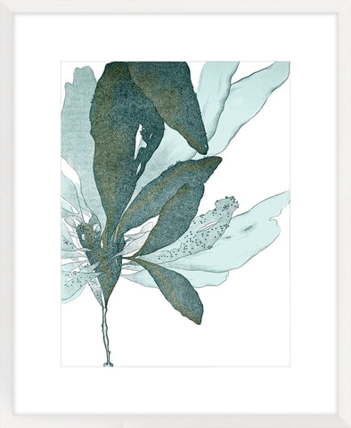 Seaside Seaweed I