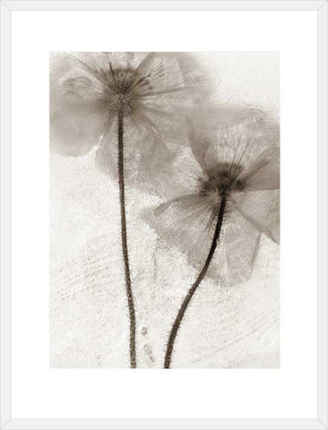 Biella Art framed prints melbourne