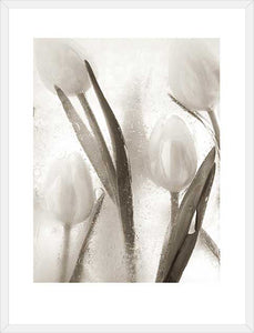 Biella Art framed prints melbourne