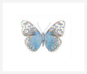 Biella Art framed prints melbourne