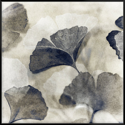 Blooming Ii