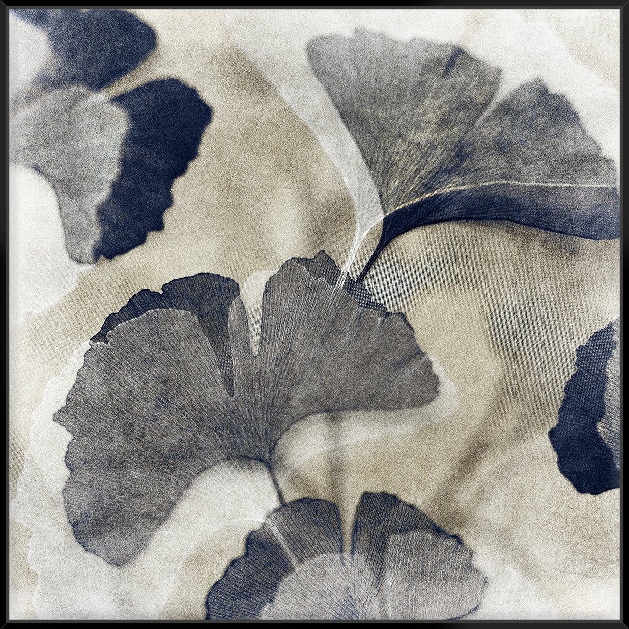 Blooming I 103X103Cm / Black