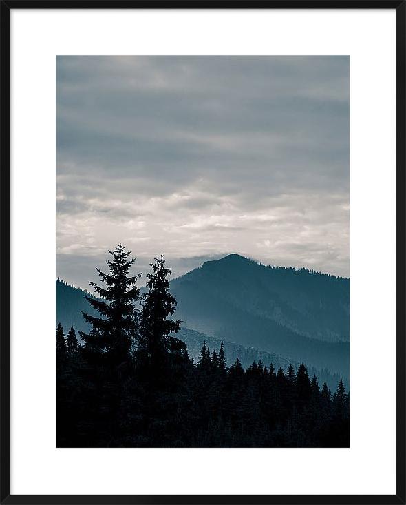 Blue Mountains Vii