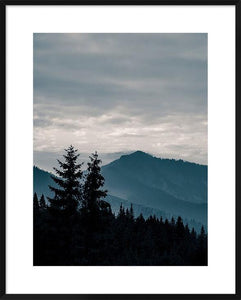 Blue Mountains Vii