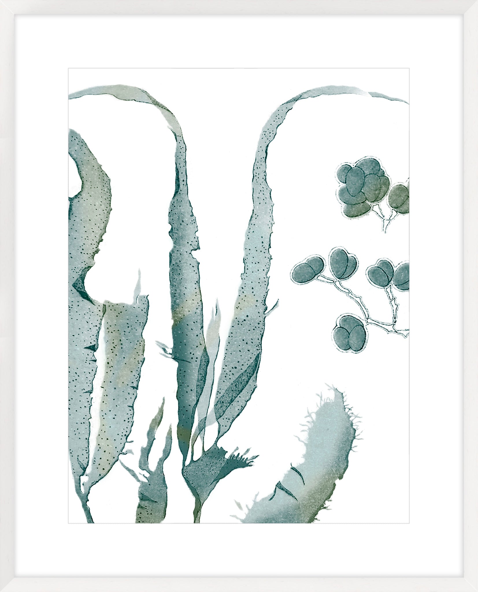 Seaside Seaweed III