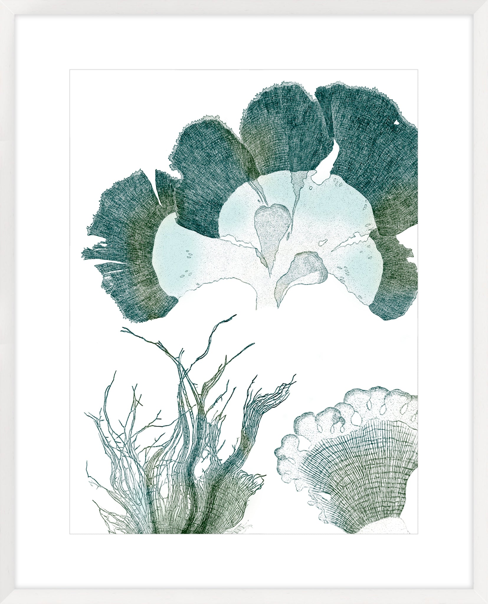 Seaside Seaweed II