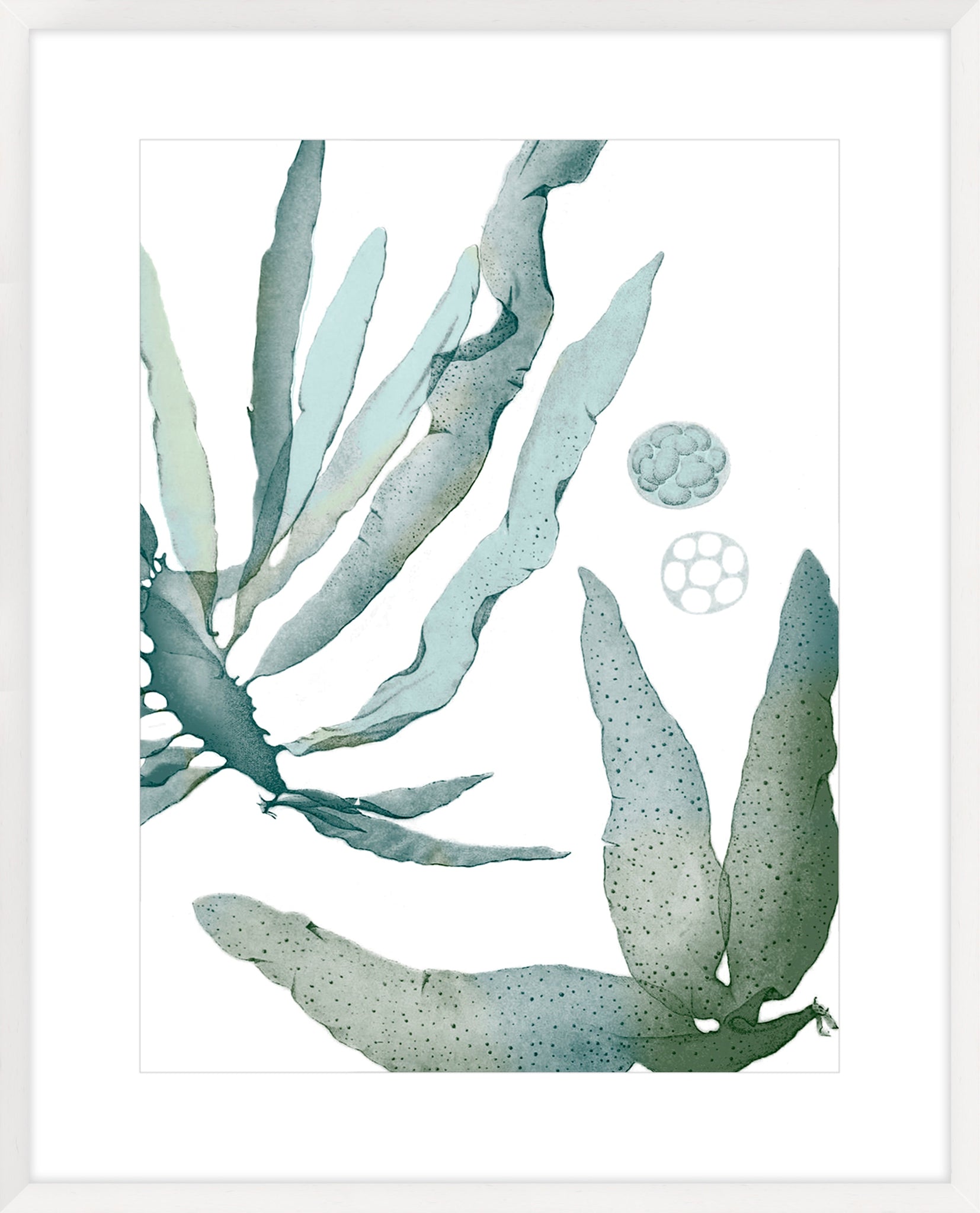 Seaside Seaweed IV
