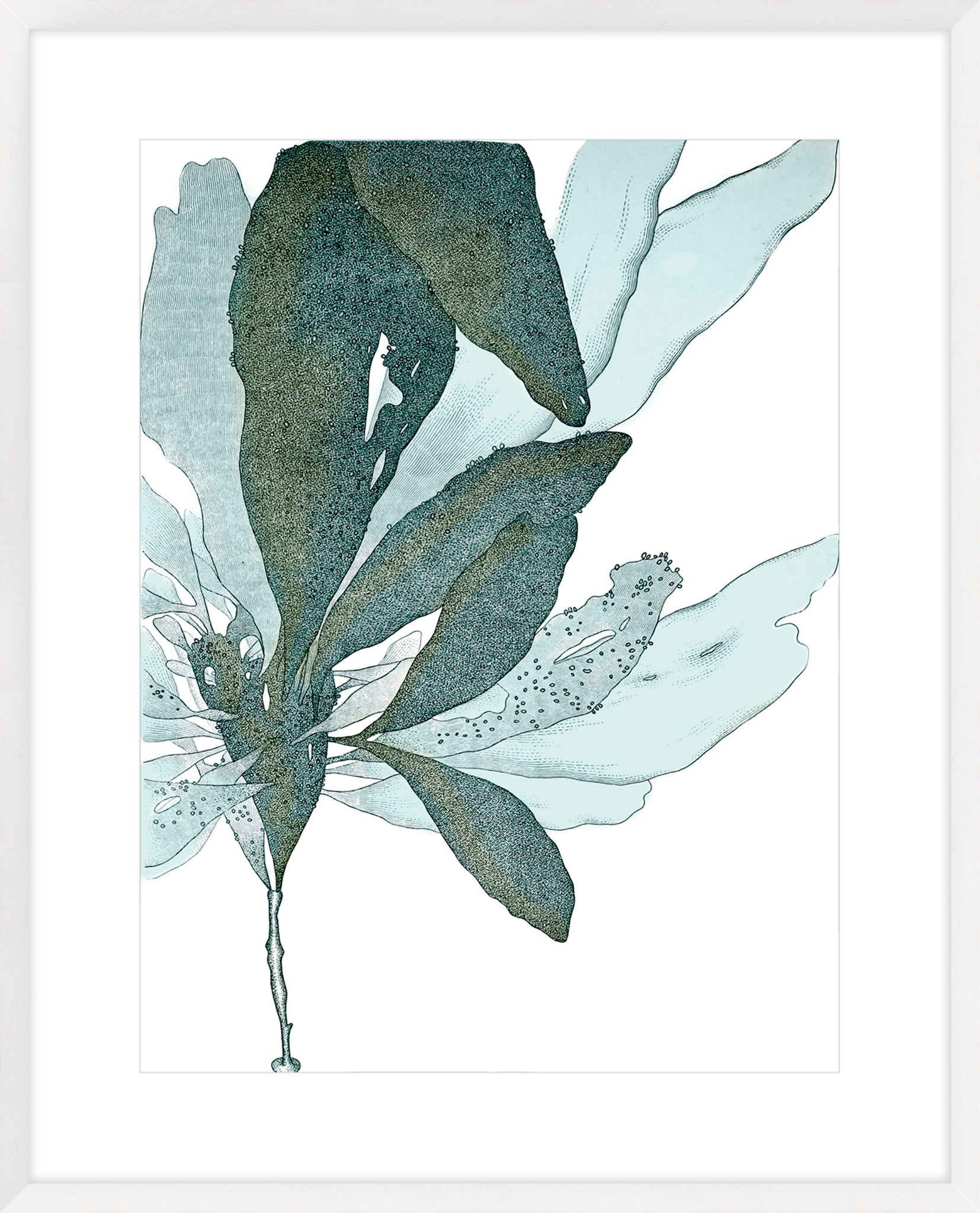 Seaside Seaweed I