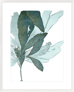 Seaside Seaweed I