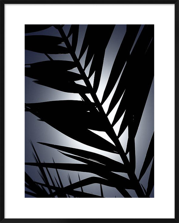 Biella Art framed prints melbourne
