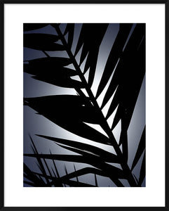 Biella Art framed prints melbourne