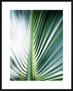 Biella Art framed prints melbourne