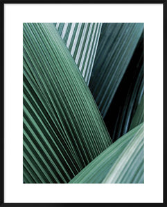 Biella Art framed prints melbourne