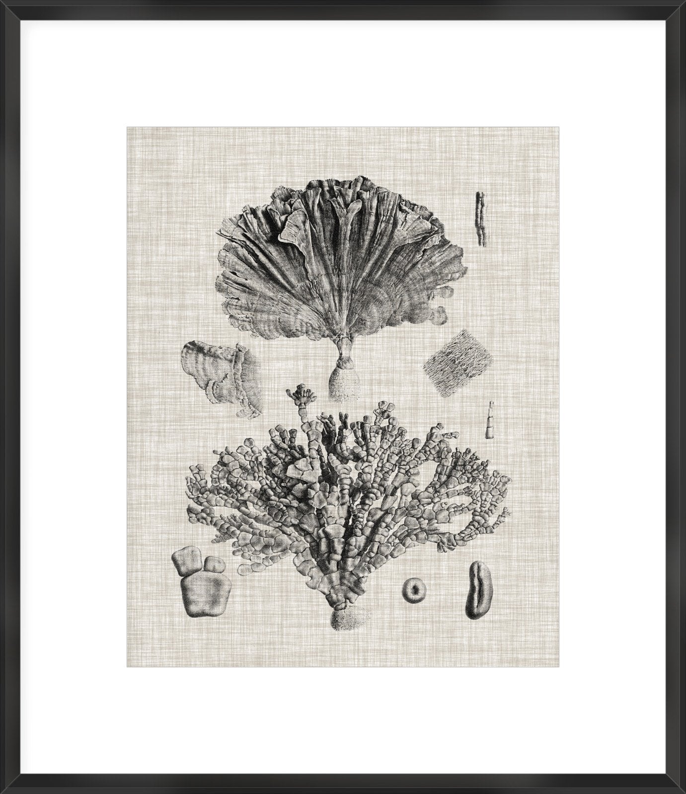 Biella Art framed prints melbourne